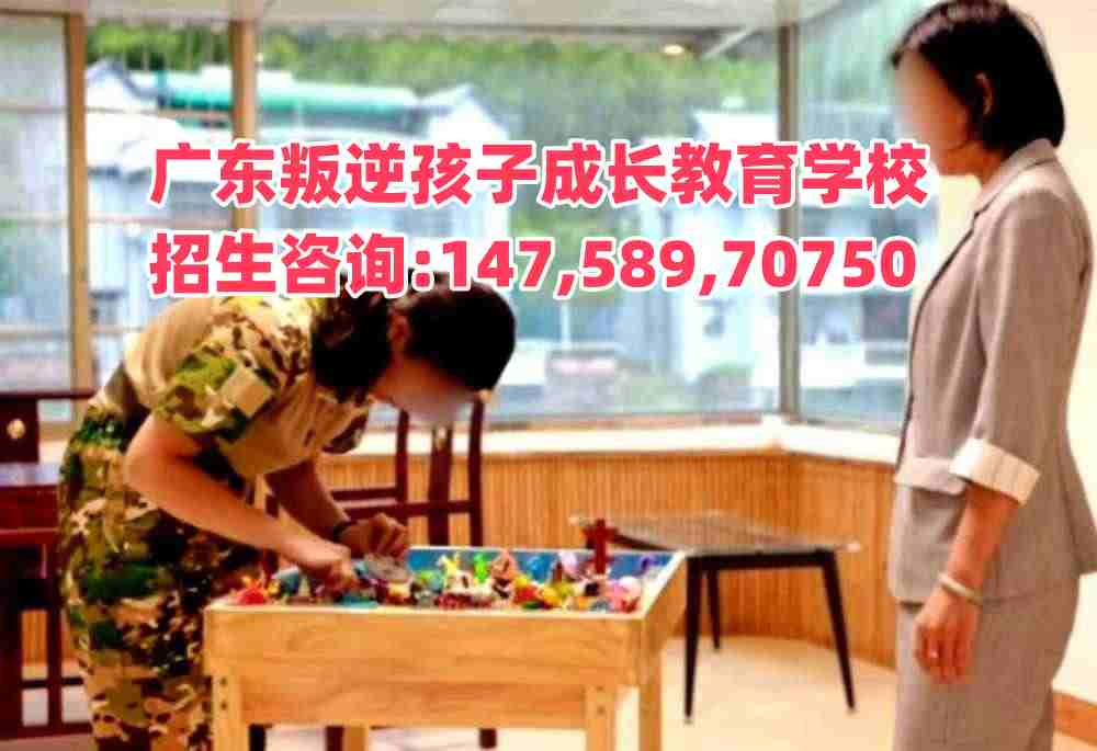 廣東成長(zhǎng)教育招生熱線14758970750