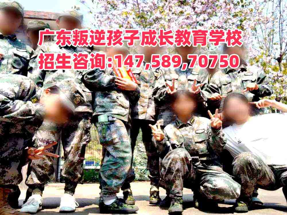 廣東成長(zhǎng)教育招生熱線14758970750